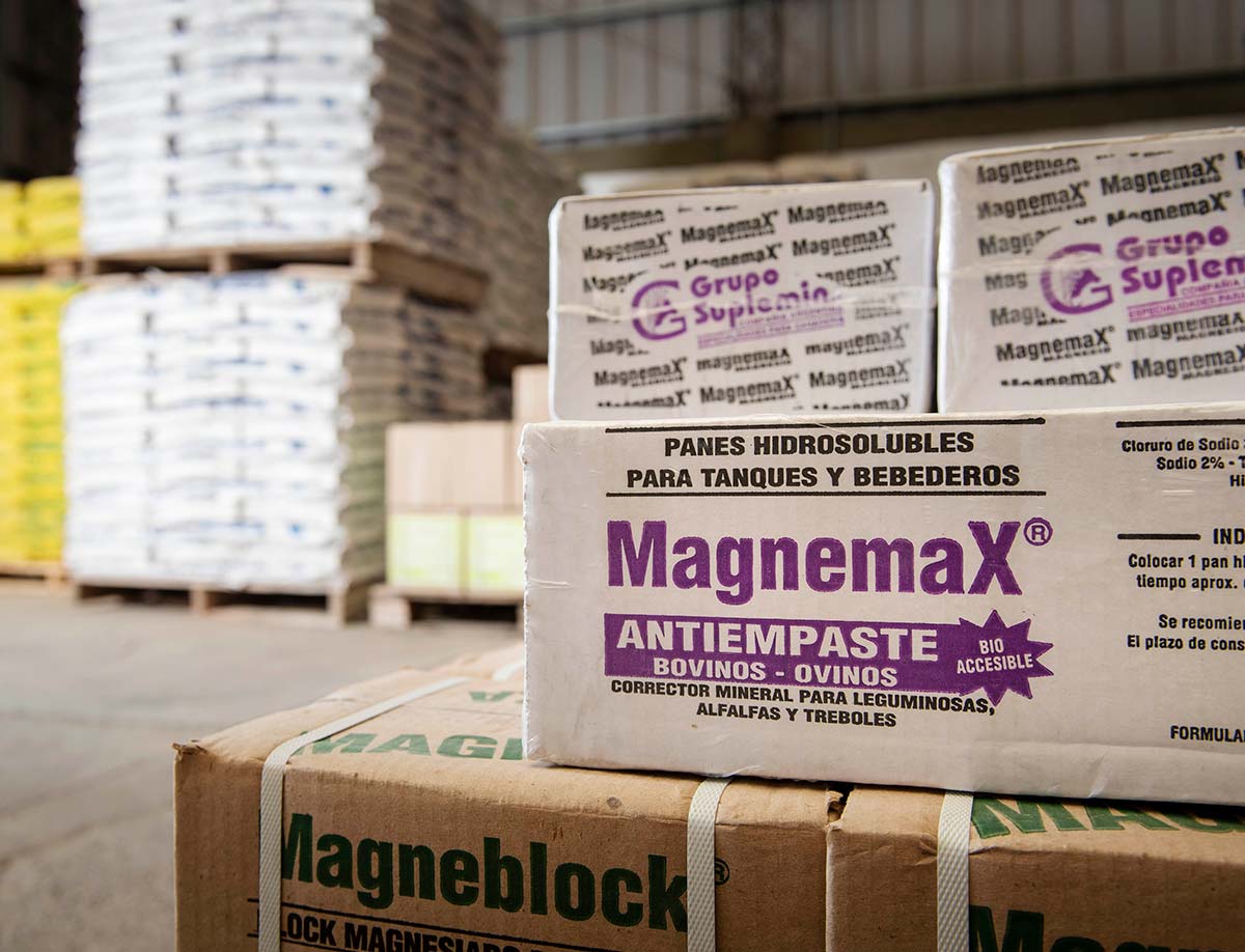 Grupo Suplemin - Magnemax y Magneblock