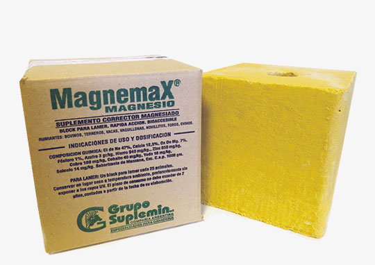 Magneblock magnesio-melaza