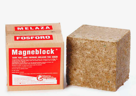 Magneblock fósforo - melaza