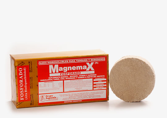 Magnemax Panes fosforados